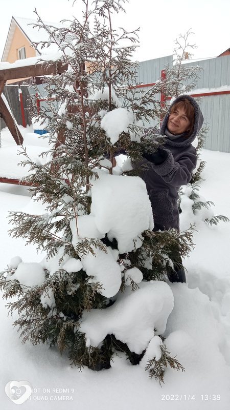 Галина, 61, Ярославле — анкета №111365