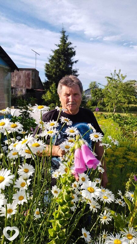 Валерий, 66, Ярославле — анкета №114778
