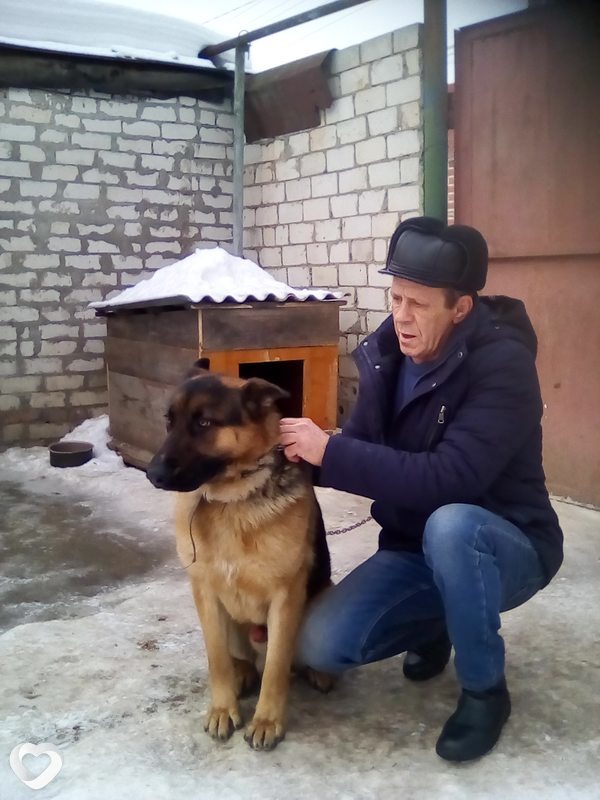 Александр, 56, Курске — анкета №118859