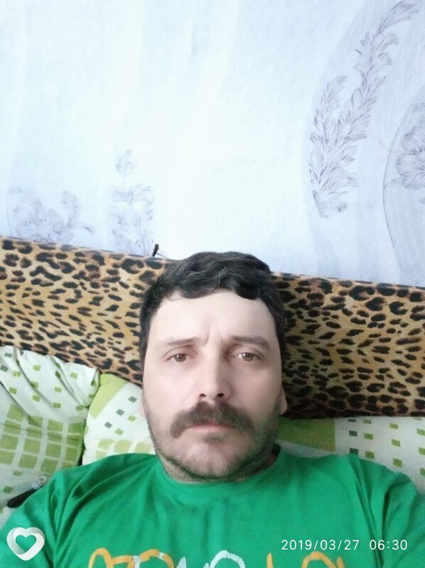 Кот, Кагул