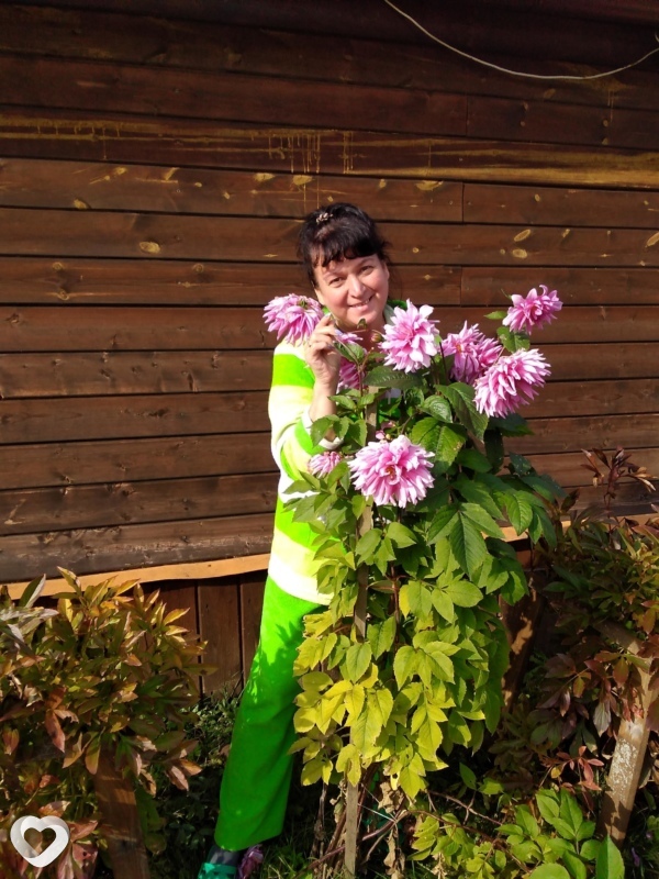 Елена, 53, Ярославле — анкета №120297