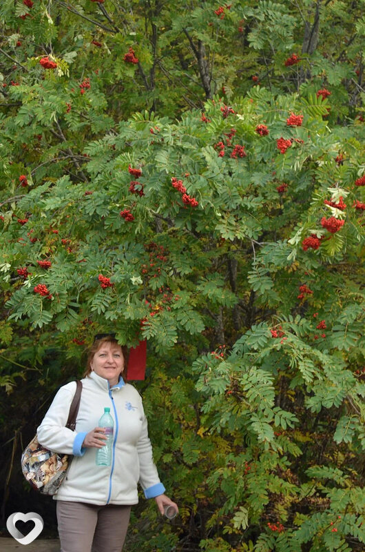 Алла, 53, Астрахани — анкета №121557