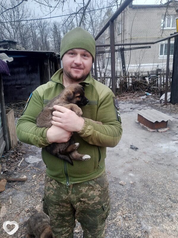 Юрий, 37, Красном Лимане — анкета №122297