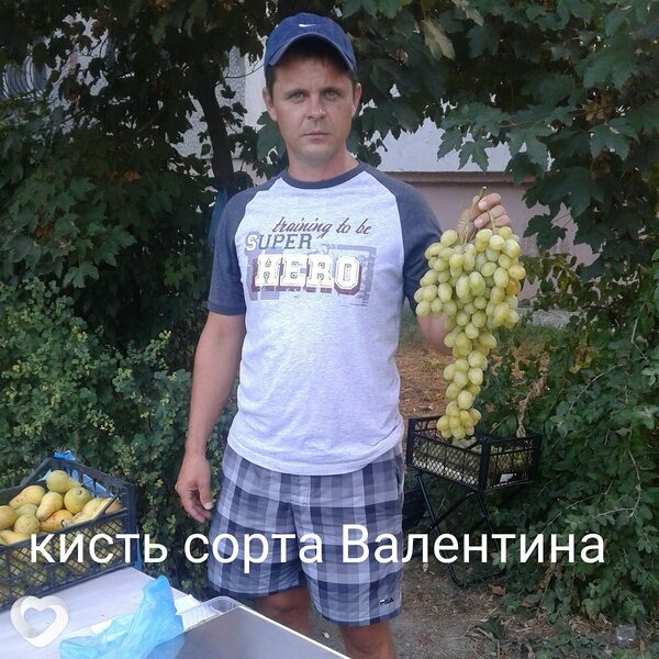 Виталий, 47, Славянске-на-Кубани — анкета №122791