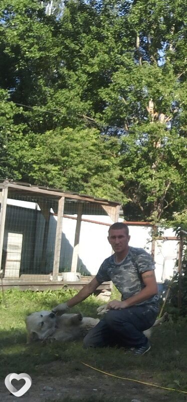 Саша, 43, Чашниках — анкета №123555