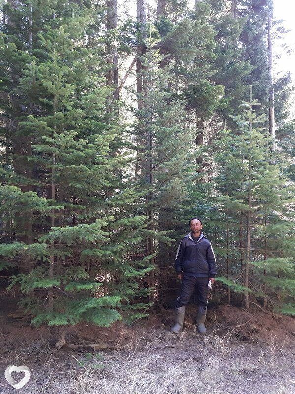 Андрей, 46, Чите — анкета №123123