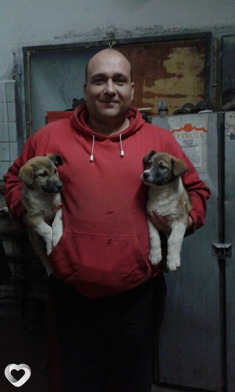 Дмитрий, 41, Кричеве — анкета №123461