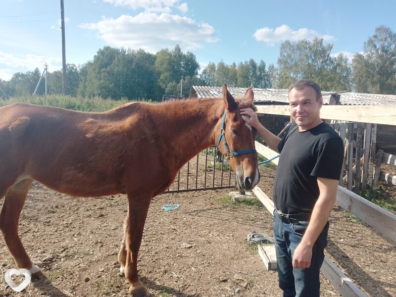 Александр, 50, Нижнем Новгороде — анкета №126247