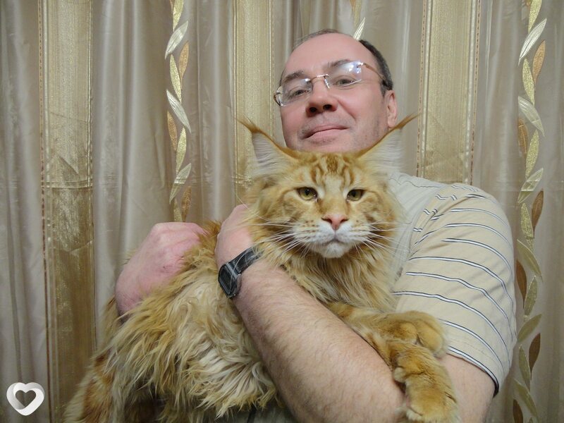 Сергей, 60, Братске — анкета №126381
