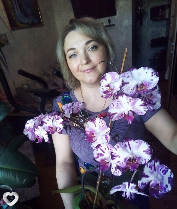 Елен, Боровск