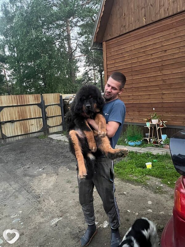 Пётр, 34, Иркутске — анкета №128563