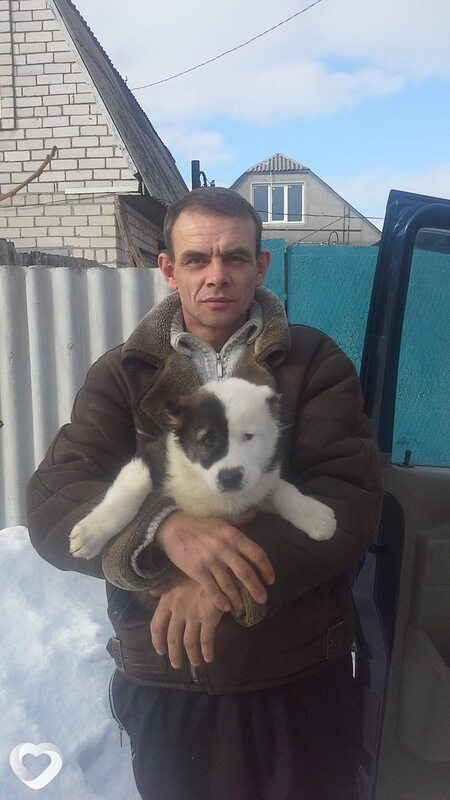 Vladimir, 57, Харькове — анкета №128538
