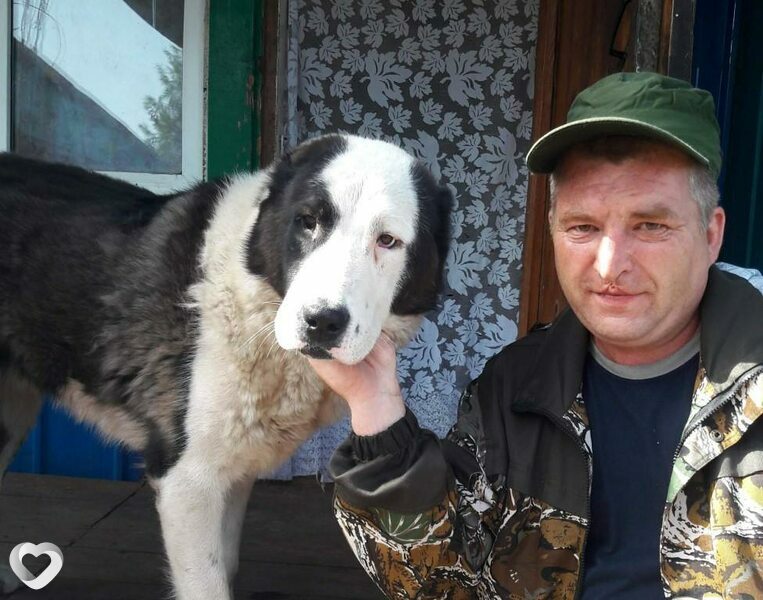 Евгений, 48, Чите — анкета №130941