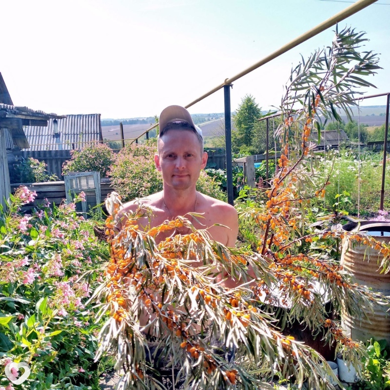 Николай, 42, Чебоксарах — анкета №132456