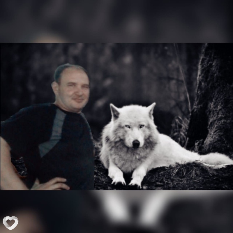 Андрей, 43, Пушкино (Московская Обл) — анкета №135373