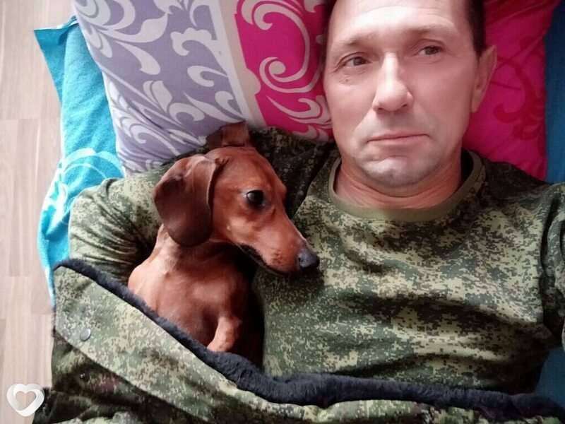 Nikola, Иловля