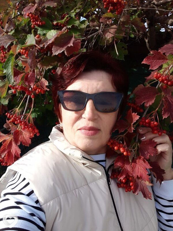 Светлана, Курсавка