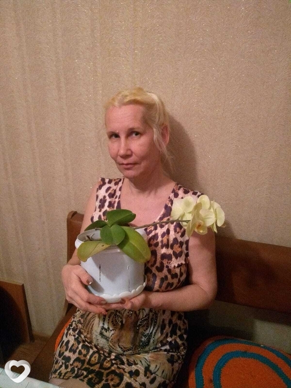 Елена, 53, Астрахани — анкета №141434