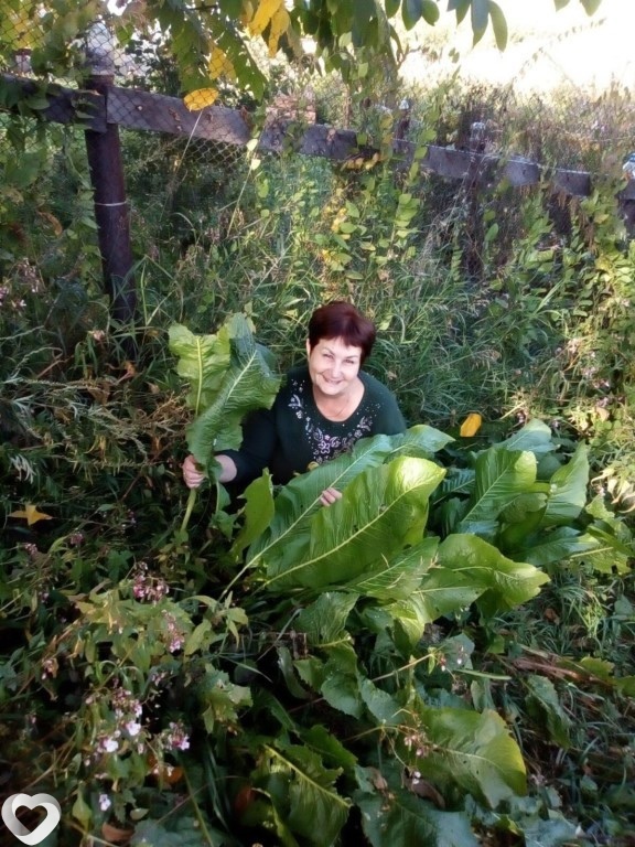 Галина, 60, Саяногорске — анкета №141651