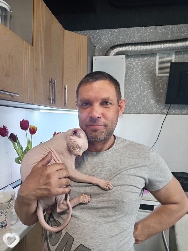 Алексей, 42, Ульяновске — анкета №144270