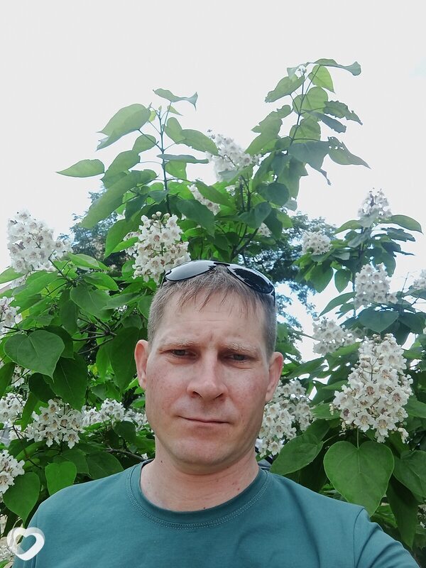 Алексей, 36, Камышине — анкета №145614