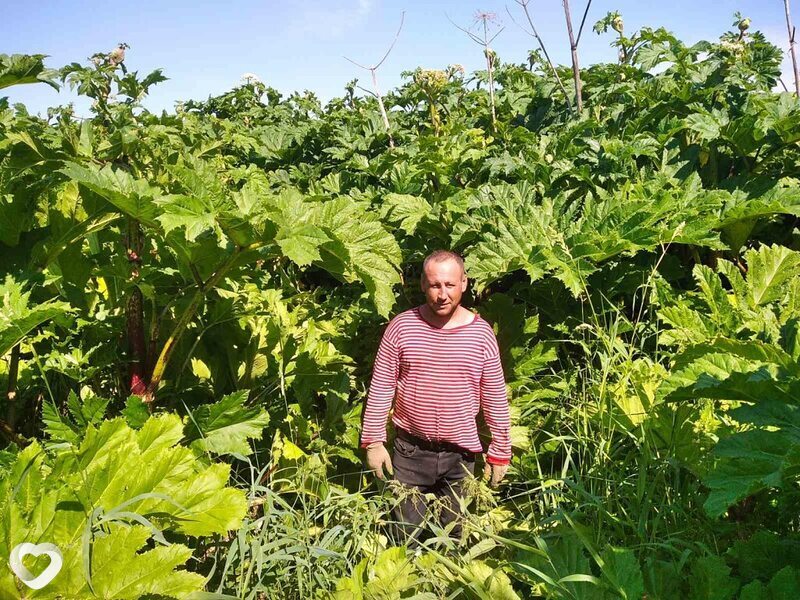 Сергей, 43, Толочине — анкета №146083
