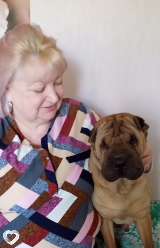 Нина, 62, Старом Осколе — анкета №146545