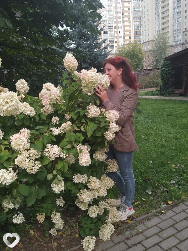 Елена, 39, Иванове — анкета №147799