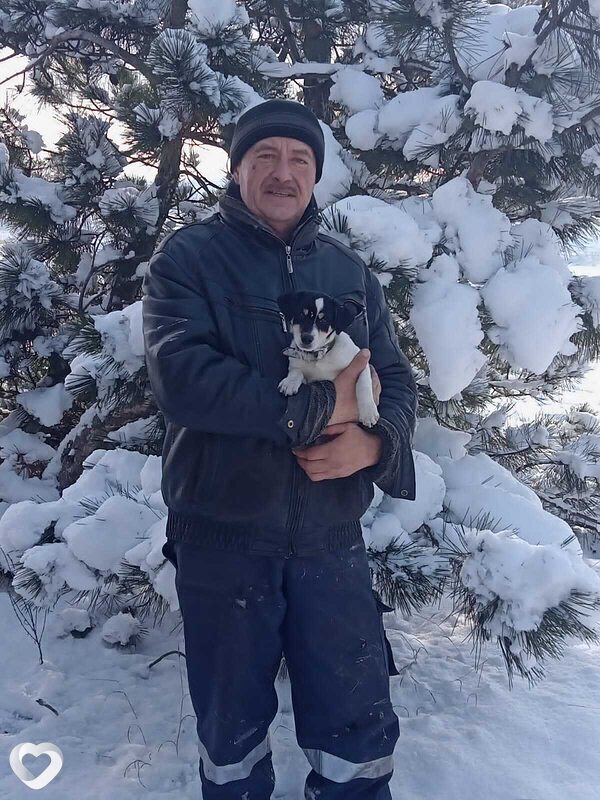 Геннадий, 55, Симферополе — анкета №147928