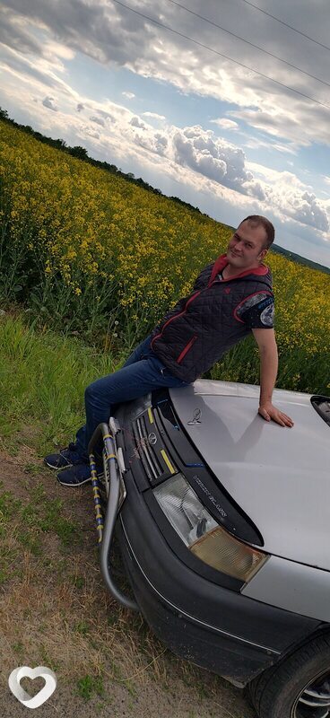 Вовк, Чигирин