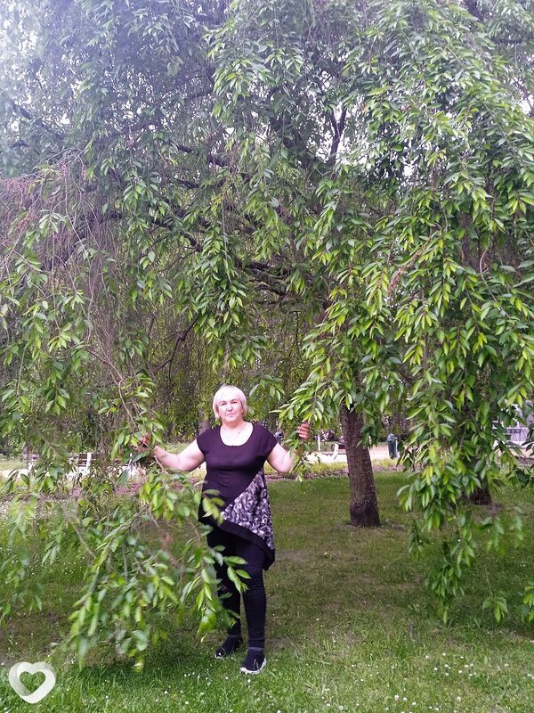 Larysa, 50, Киеве — анкета №152235