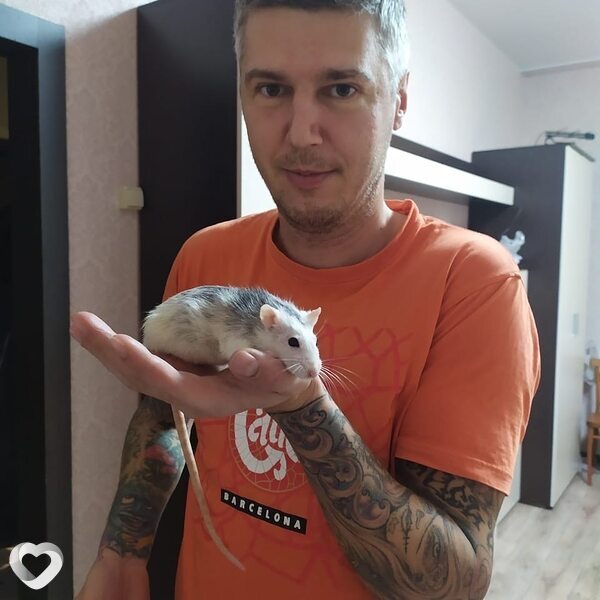 Дмитрий, 46, Волгограде — анкета №154761