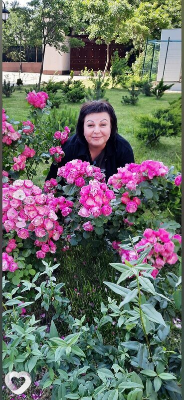Svitlana, Каменское