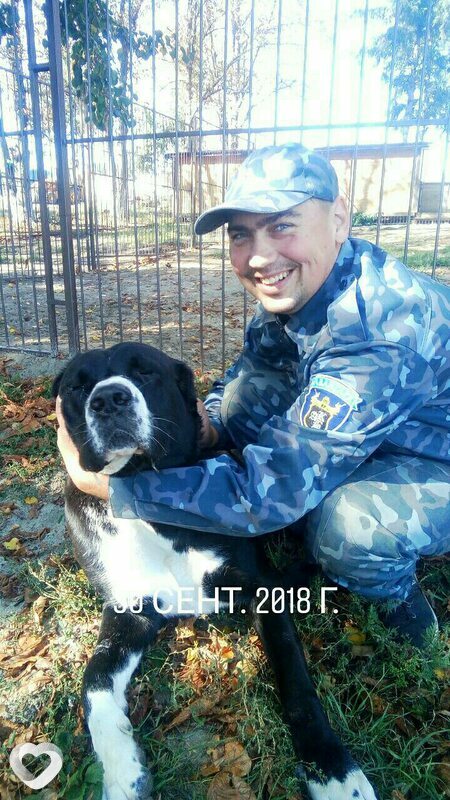 Виталий, 36, Днепр — анкета №160001