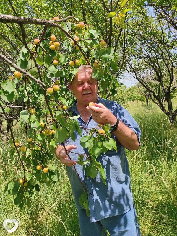 Александр, 69, Алматы — анкета №552270