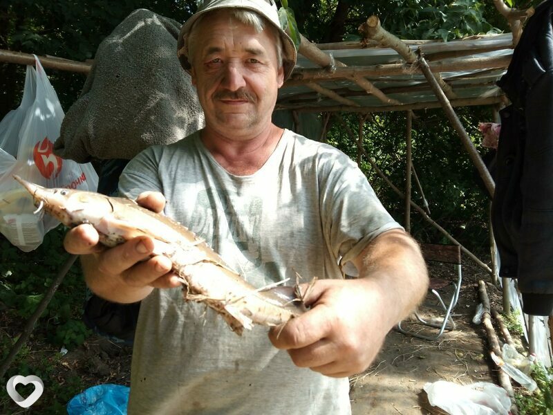 Дмитрий, 59, Калуге — анкета №163859