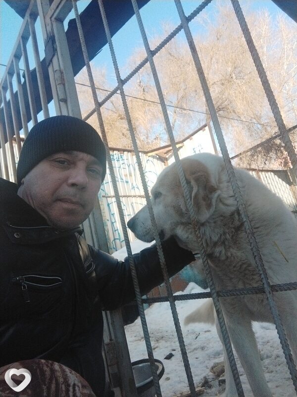 Александр, Свободный
