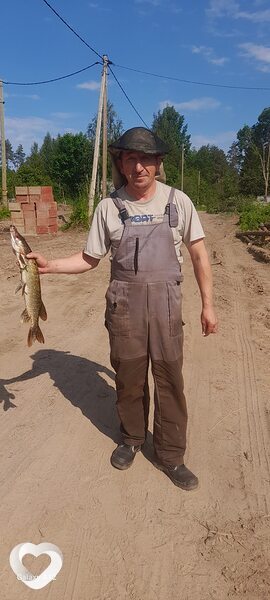 Юрий, Шемурша