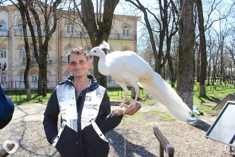 Сергей, 47, Челябинске — анкета №173389