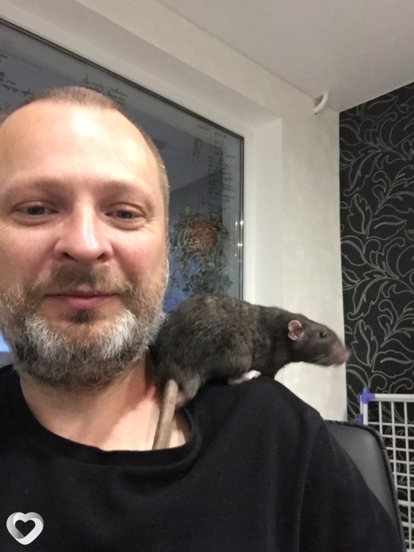 Иван, 46, Минске — анкета №173869
