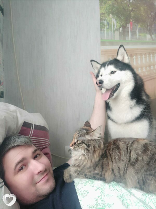 Денис, Королёв