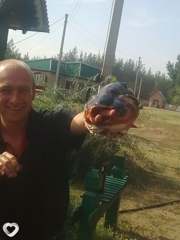 Виталий, 47, Изюме — анкета №182965