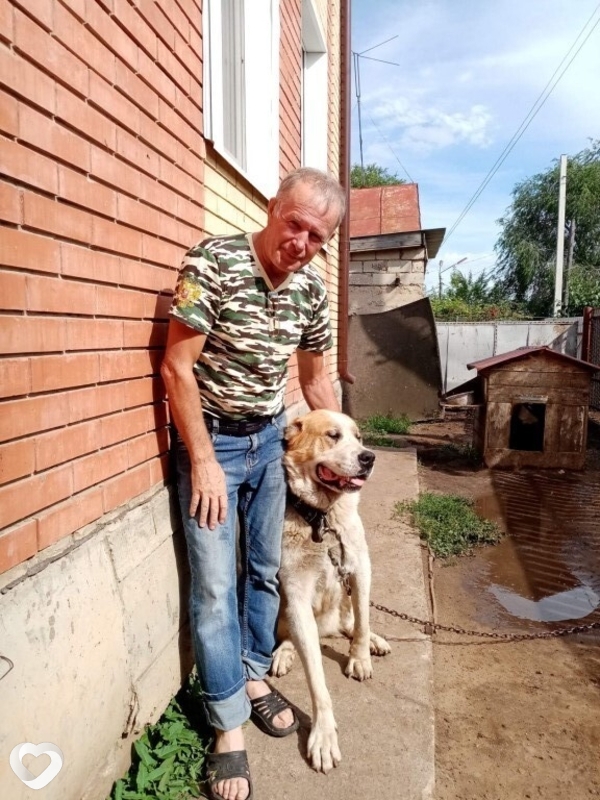 Сергей, 64, Ульяновске — анкета №193364