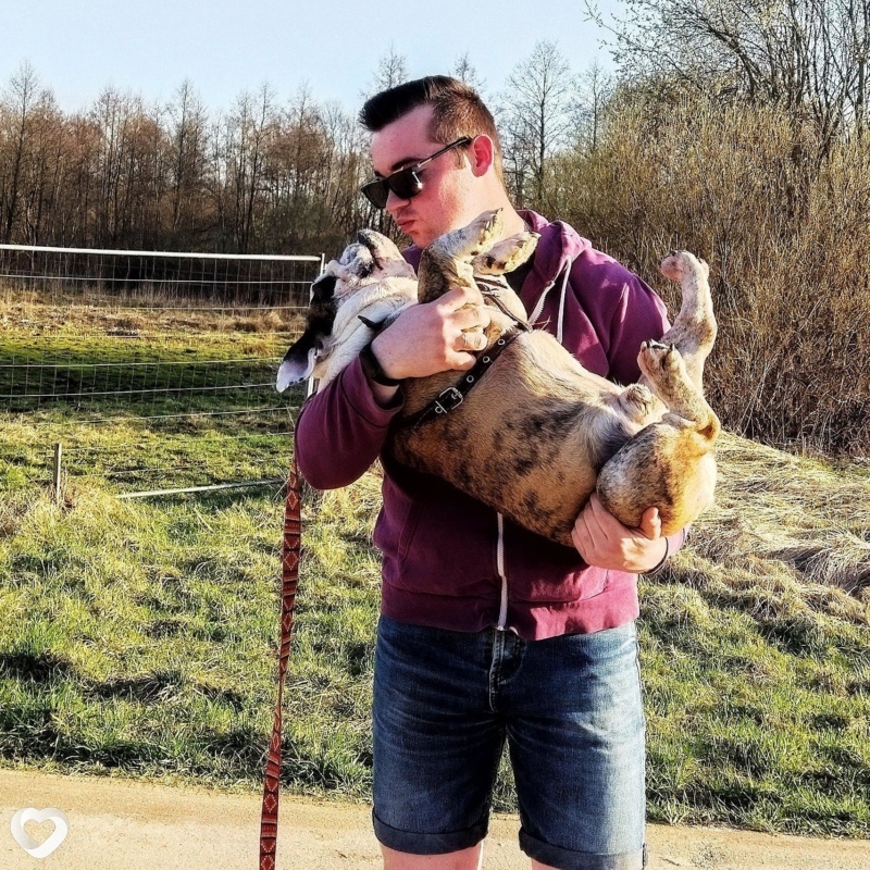 Алексей Метеор, 30, Минске — анкета №203304