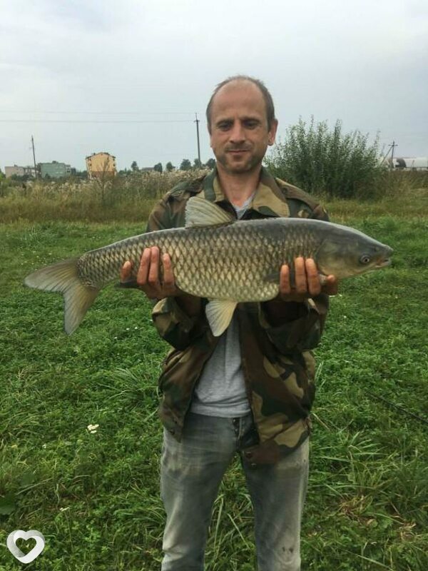 Николай, 41, Минске — анкета №204339
