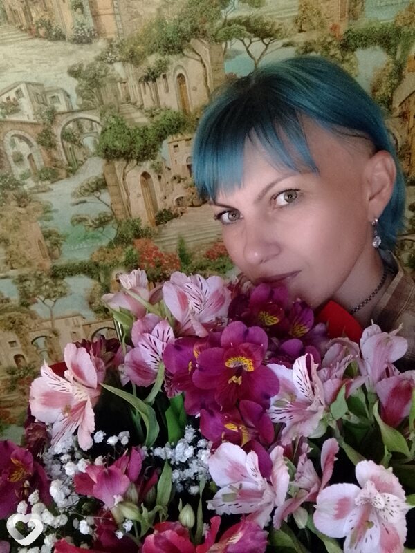 Шут, Новоайдар