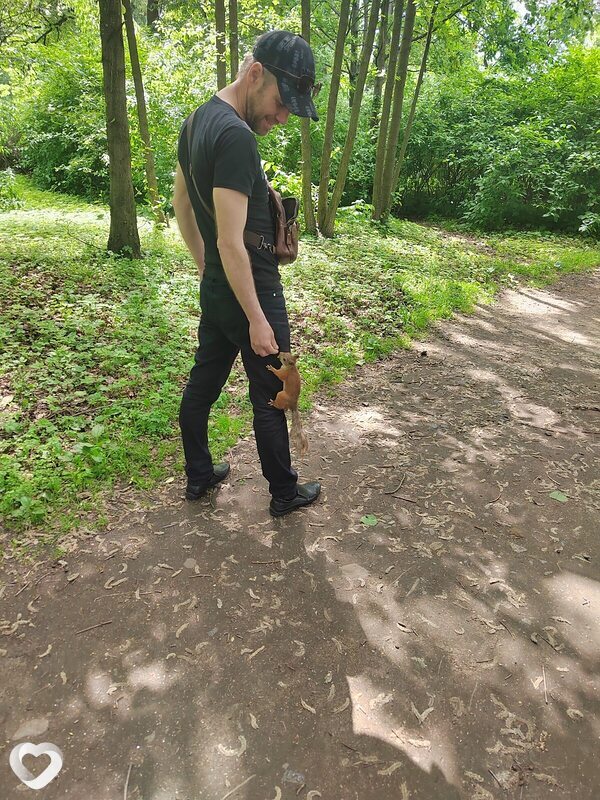 Андрей, 41, Санкт-Петербурге — анкета №213665