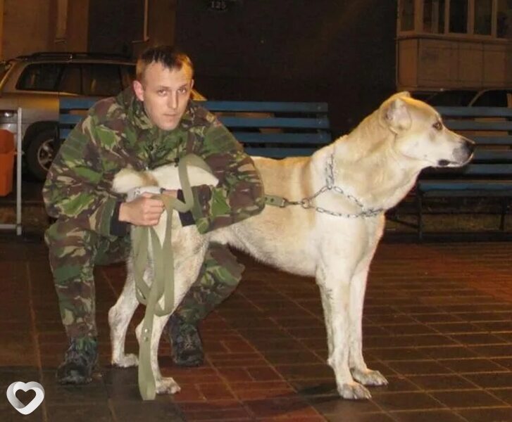 Игорь, 42, Белгороде — анкета №215428