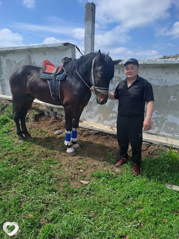 Совет, 46, Петропавловске — анкета №216998