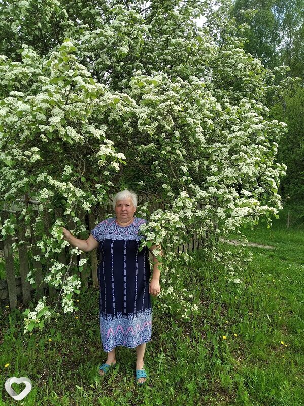 Анна, 65, Борисове — анкета №220341